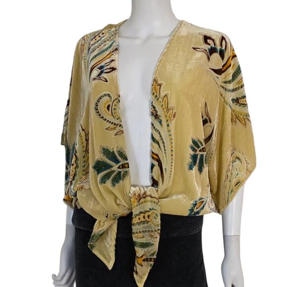 Winter Kale Burnout Velvet Top Blouse - Picture 1 of 7